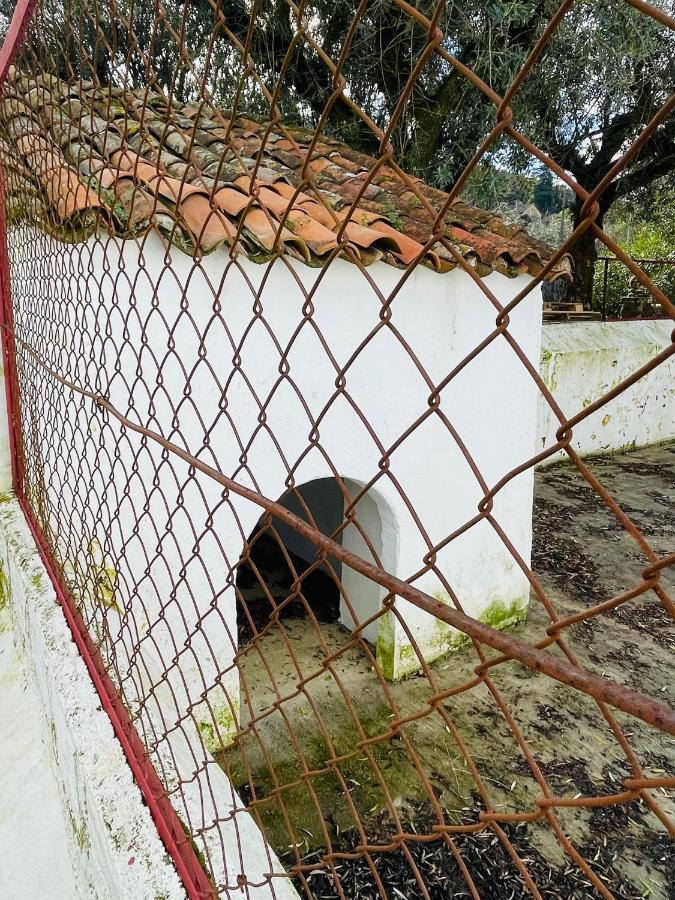 Pensjonat Casa Do Martinho Castelo de Vide Zewnętrze zdjęcie